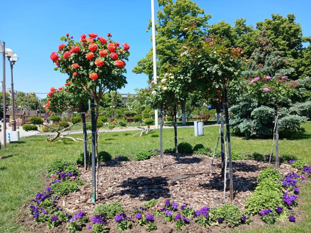 ������ ����� ������������