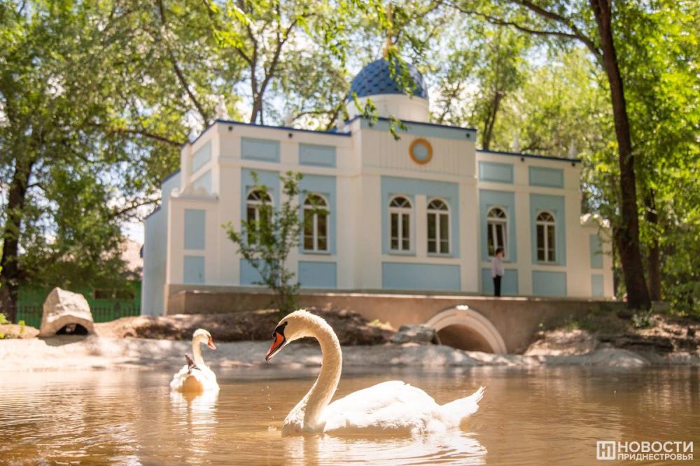 ����������� ��������� ��������� ��� ������ � ��������