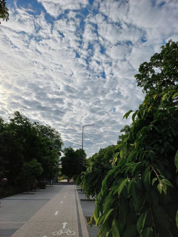 ���� ��� ���������. ������ ��� ������� ����