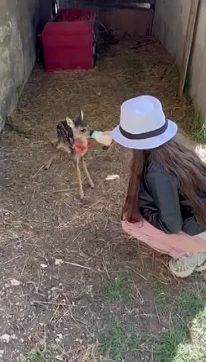 ����� ��������, ��� ������������� ������� � ������������ �������� ������������� ������ �������