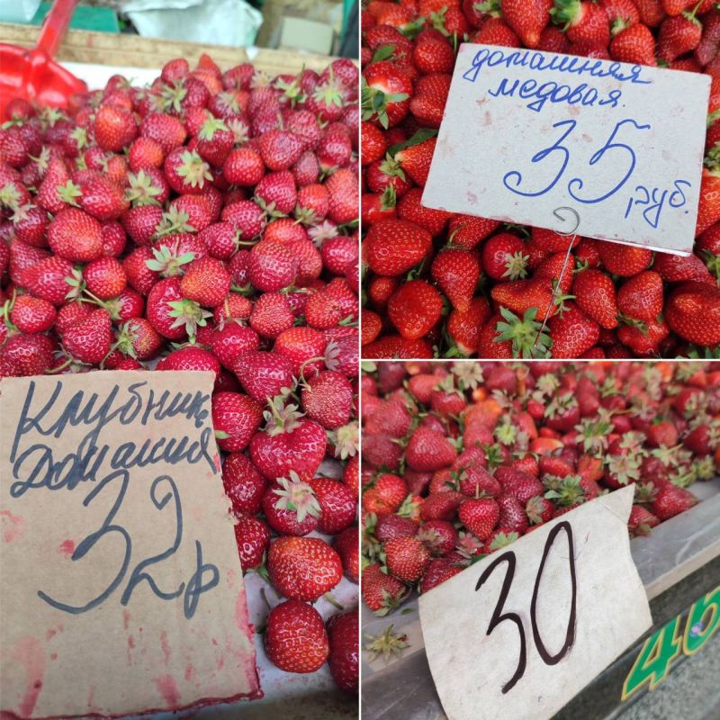 ����� ����� �������� �� ������