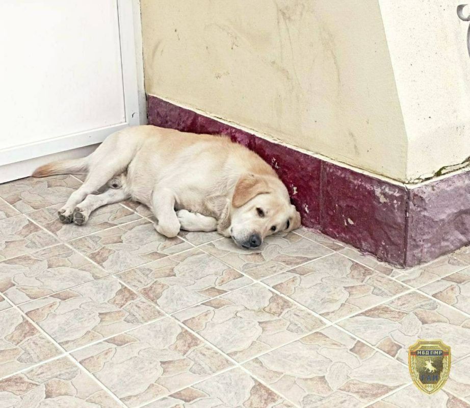 ������� ���� ������� ���������