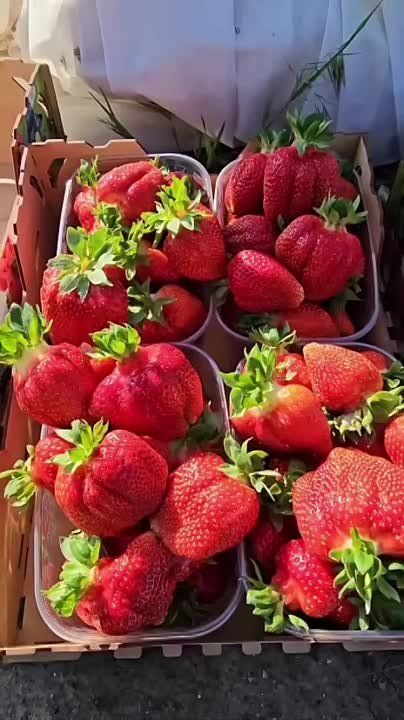 ����������� �������, ��� ���� ������ �������� ����� ����������