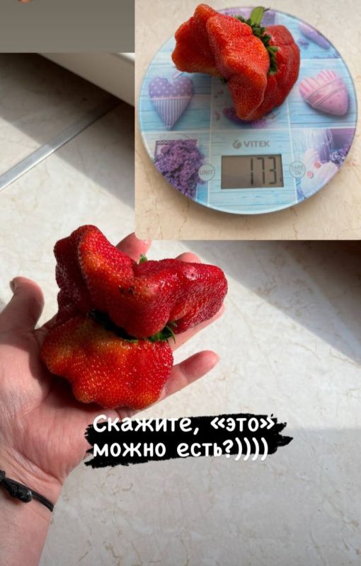 ������������� �������� ���������