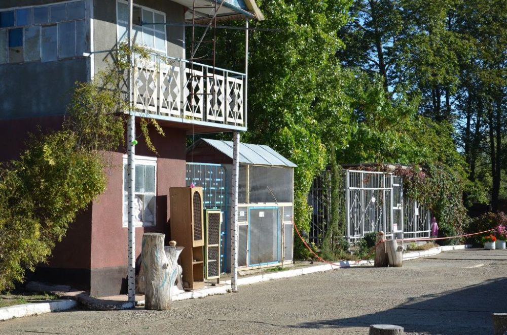 ��������� � ������� �� ��� ������ �����