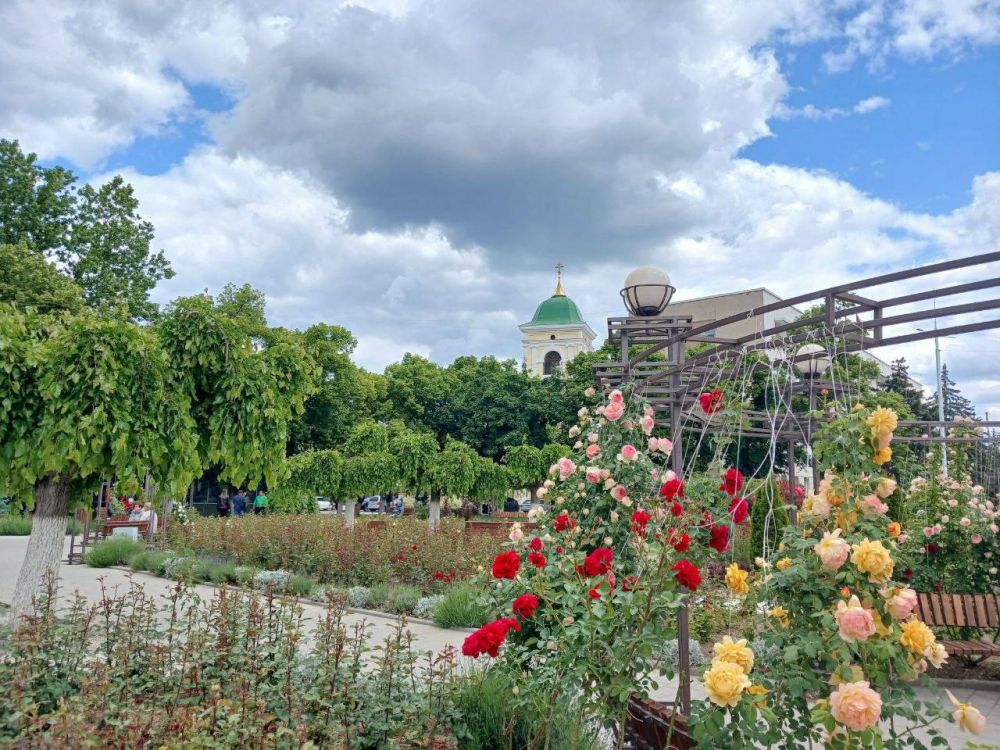 ���� � ��������. ����� ��� ������� � ����