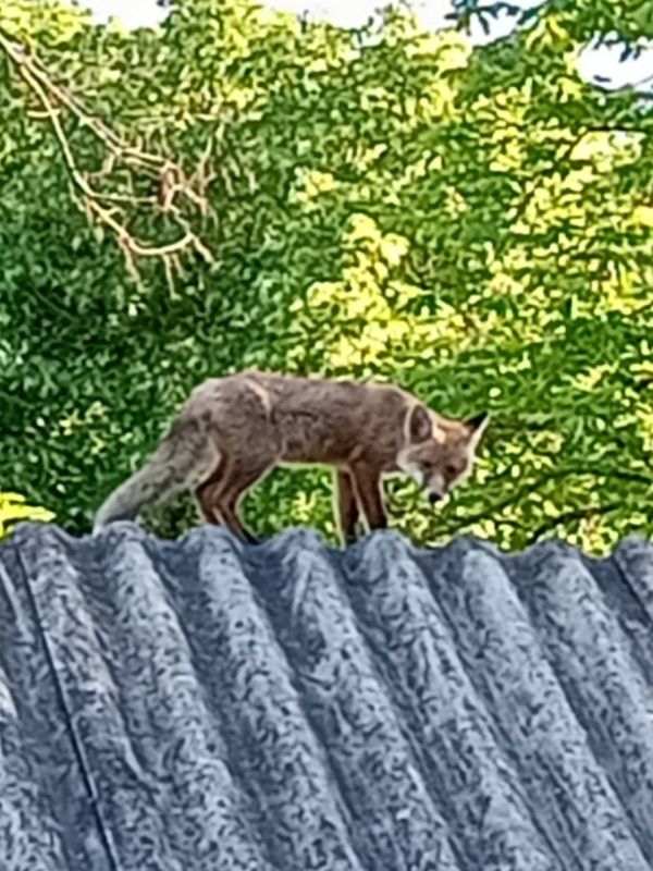 ��������� �����, ��� ���� ����� � ������ ���� �� ���������� ����������� � ���� �������� �� �������� �����