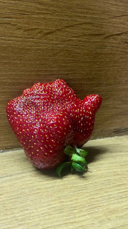 ���������� ������������ ������������