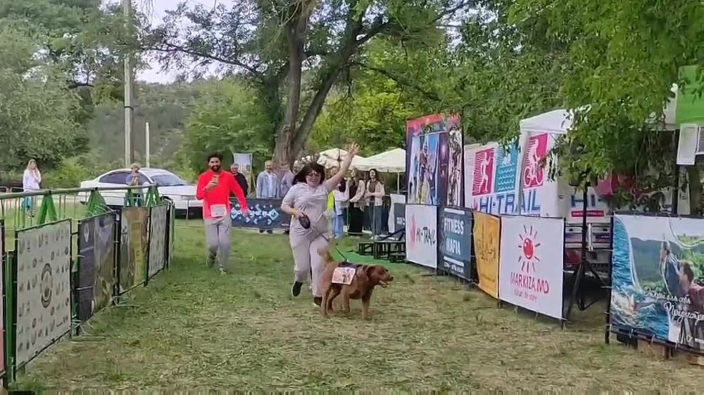 ��� �������� � � �������� �����