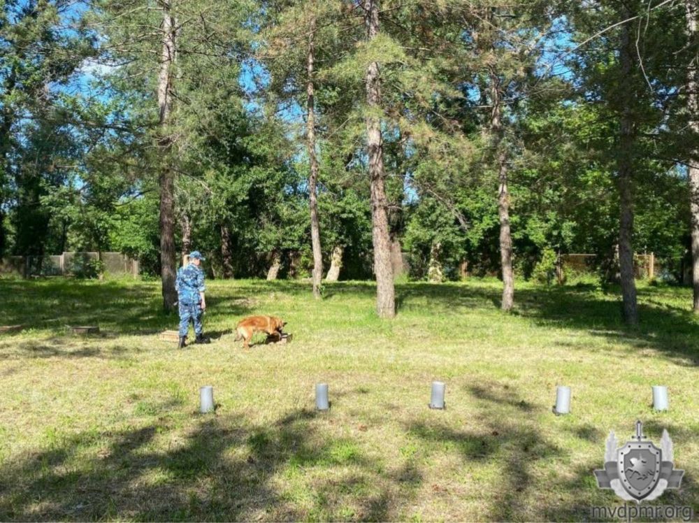 ������-����� �� ����������� �������