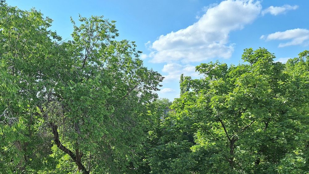 � ������� ������������ �����: ��������� ������� ���������� � ��������� ������ � �����������