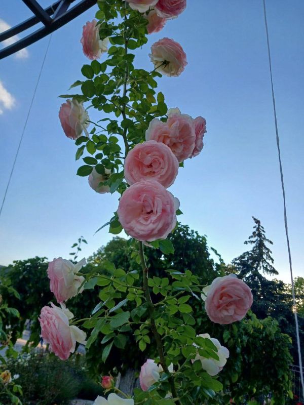 ������� - ����� ���. � �� ��������� ��������� ������������