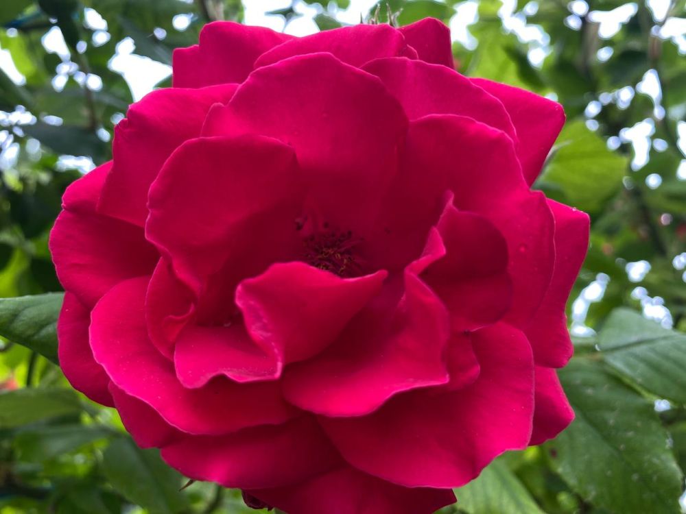 � ��������� ��� ��������� ���������� ����������, ��� �������