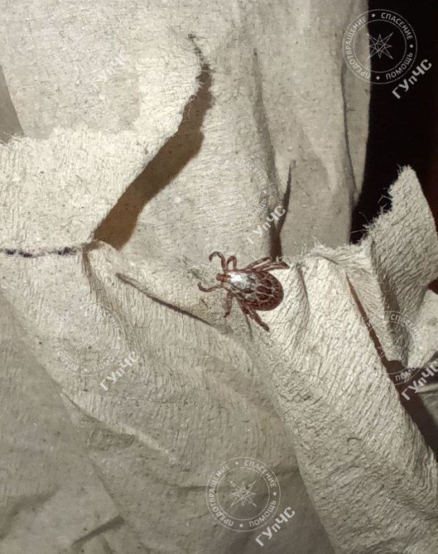 ���������: �����!. � ������������� � ����� ���������� ������. ���� ����� ��� ����������� � �������� ������, ��� ����� ������� ����� � ������