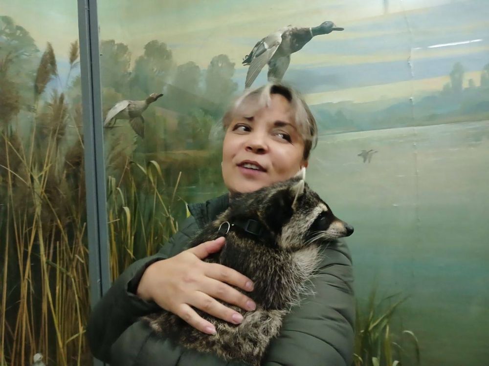 � ������ ����� ���� ���� ���������