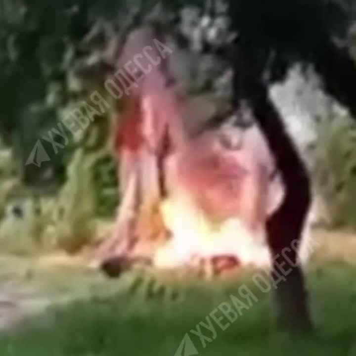 � ������ ��������� ��������