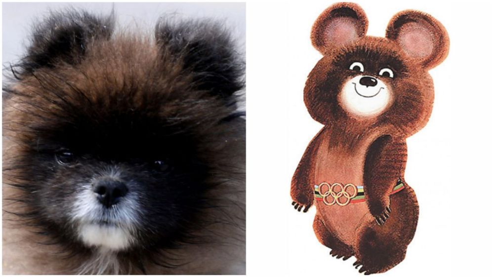 �� ����� ��. p>������������ ����� �� ����� (��������� �����)