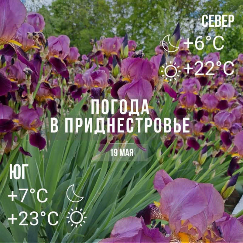 ���� � �� +23��. ��� �������