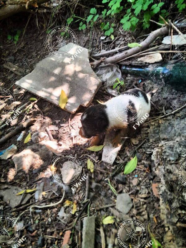 ���������� ����� ������ ������