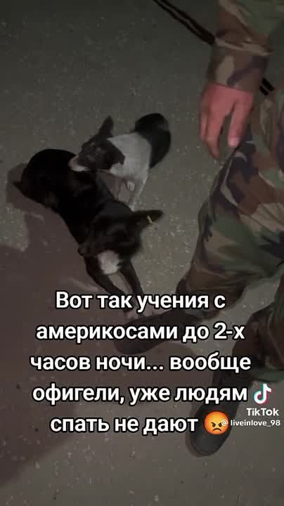 � ������� (�������) ���� �� ����� ����� ��-�� ���������������� ������ � ������������ ������