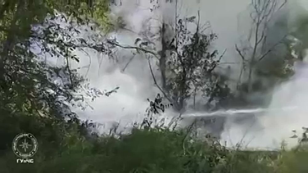 ����� �� ������ �������