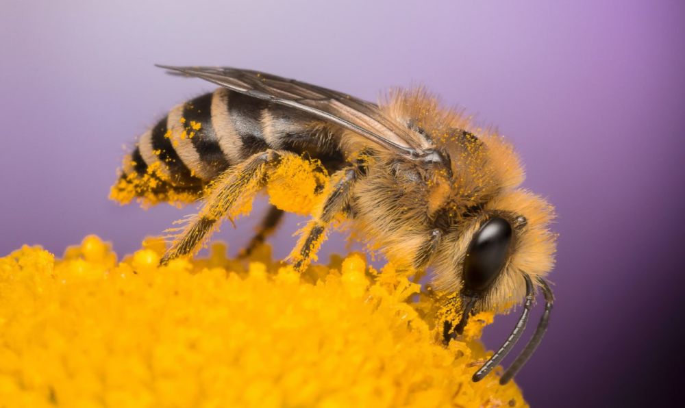 11 ���������� ������ � ������