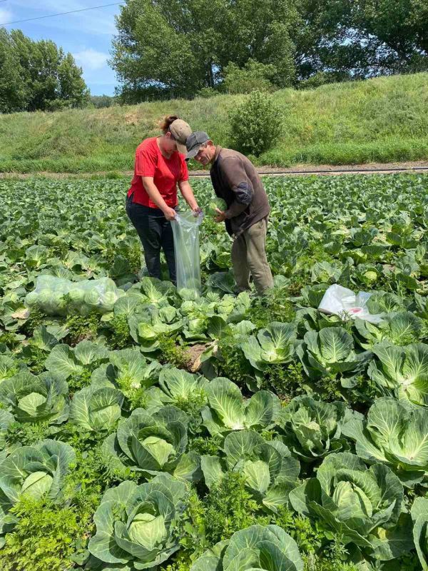 � �������� ������� ������� �������