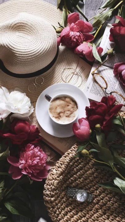 ������ ����