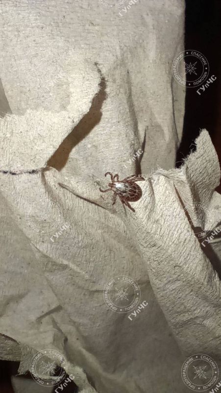 ����� ����� ����� � ������� � �������