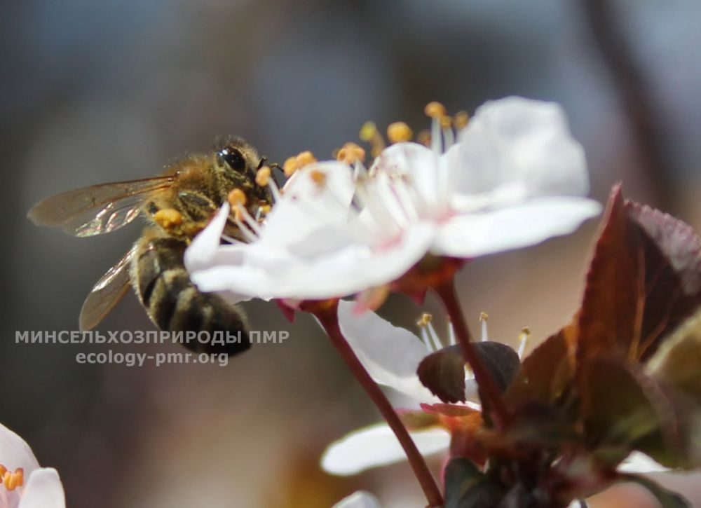 ������� ��������� ���� ����