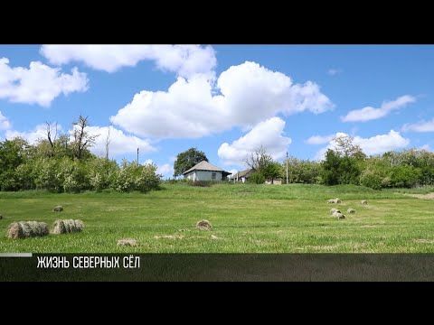 �� ����� � � ���������. ��� ���� �� �������� �� ���������� ������. ��� ����� ����� 6 �������, ���� ����� ������, � ������� ������ � �������������� �������