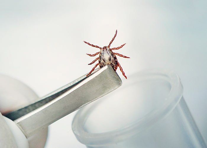 ���������, �����!. ������� ���, � ��� ������� ������� ���������� ����� �� �������, ���� � ���� �� ������ �������, �� �...