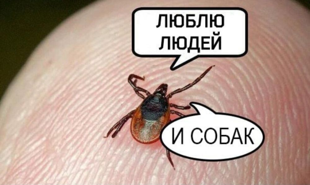 ������� ������ � ���� ������ � ��� ����������� ����� ���