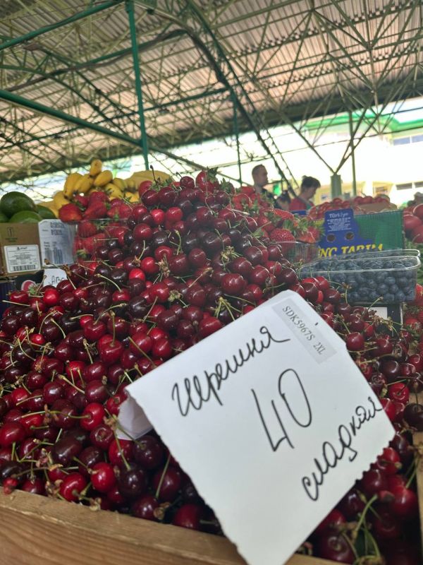 ����� �� ����� � ���������: