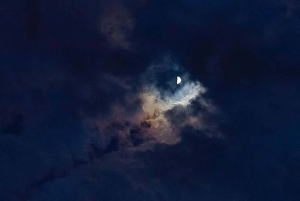 ������ ���� � ����� ������ �� �������