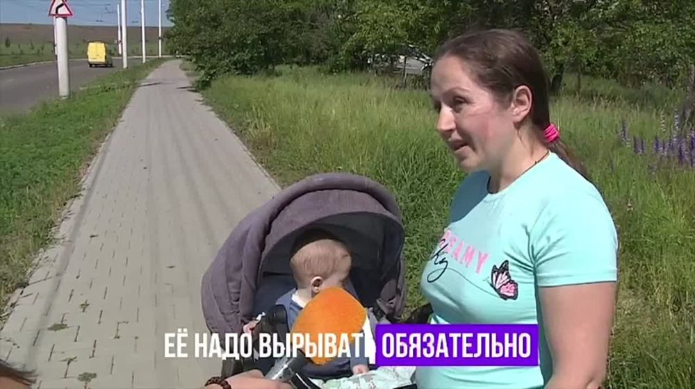 ��������� �� ������ ������ ������ �������� ��������