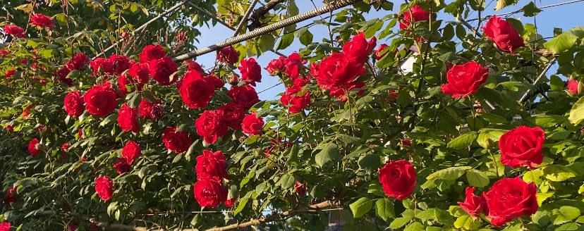 ��� ������� ��������� ����� �� ����� �� � ��, 23 ��� ��������� ���������� ����������, ��� �������