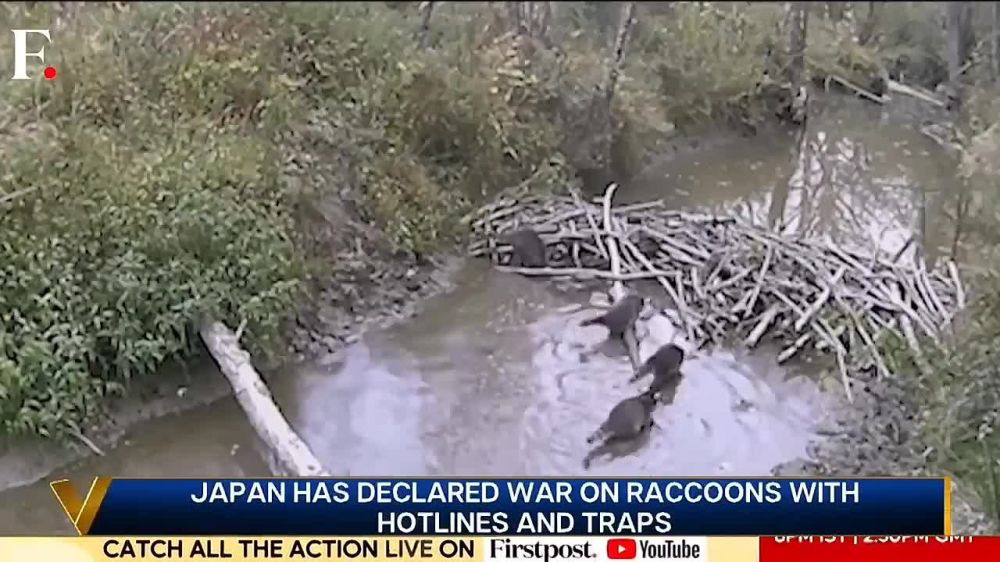 ��������� ������ � �����