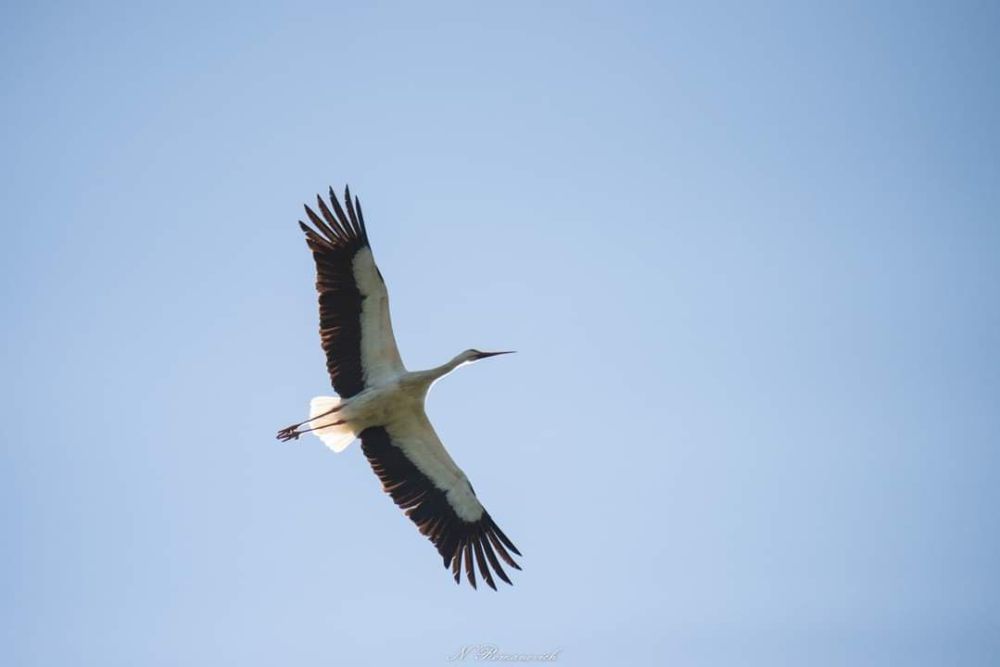 ���������� ������� � ���