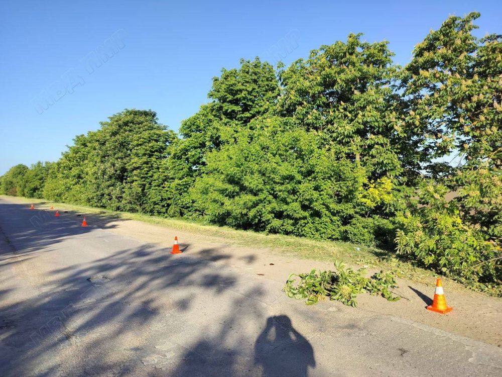 �� ������ �������-��������� �������� ����� ��������