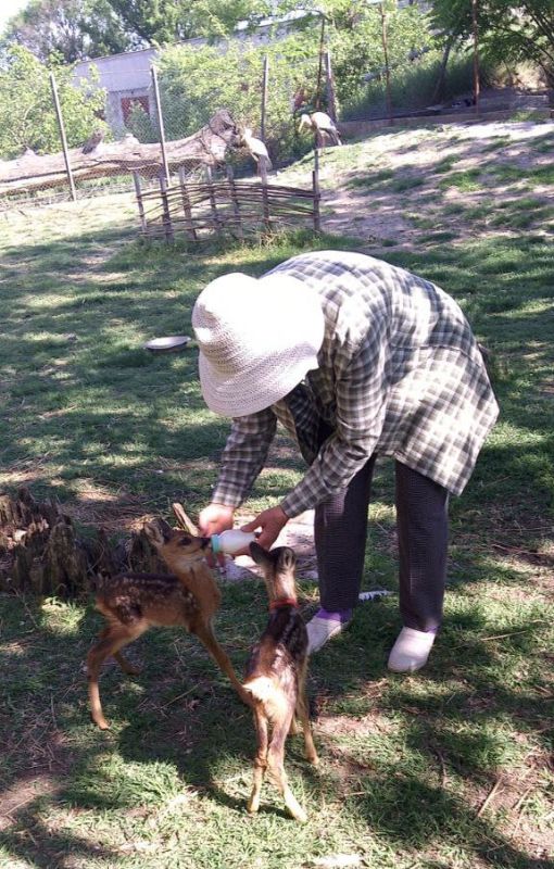 � ������������ �������� ������ ��������� ���