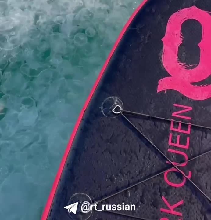 �������� ���� � �����. ��� �� ������