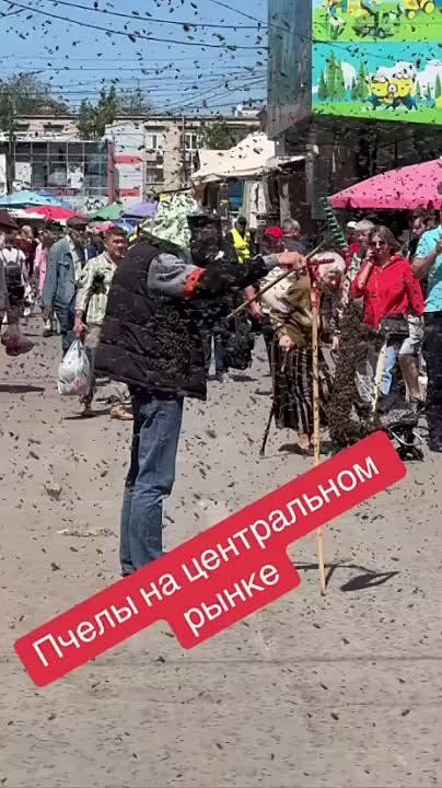 ����� �����: �������� �������� ���� � ����� �� ����������� ����� ��������