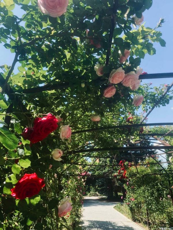 � ��������� ����������� �� 1 ���� ��� �������� ������