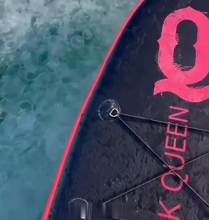 � ����� ׸���� ���� ����� ������ �� ���� ��-�� ��������� �����