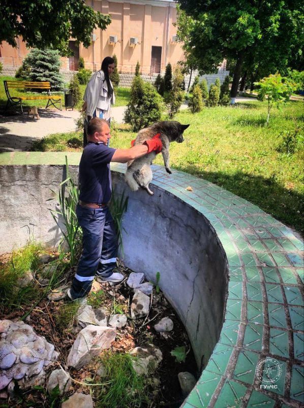 ��� 21 ��� ������������ ��������� �������� ������ ��������� �� ���� ������������ ������� � ������������ �����