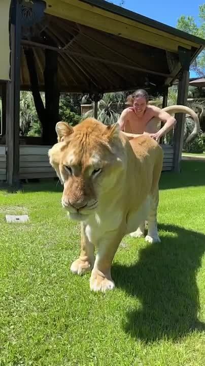 ��� ���� � ������ ����� �����-������ � �������� ������