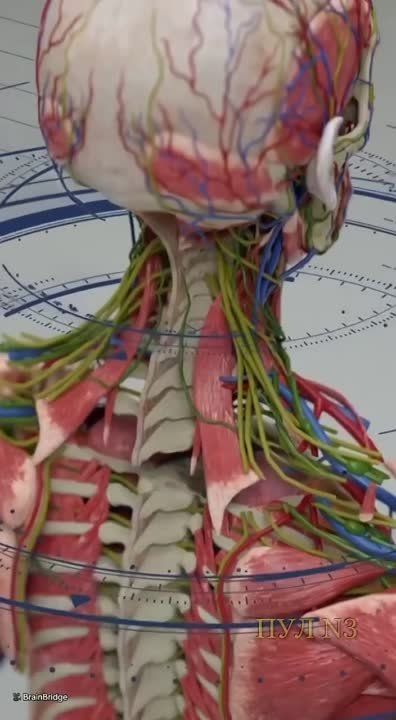 ������� ���������� ������� ���������� ����������� - ������ ����� ����� ������ ���������� ������� ��� ����������� �������...