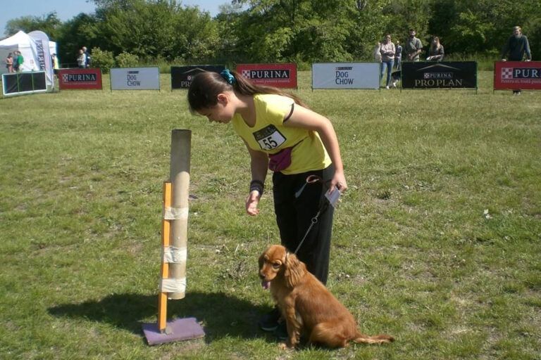 ������� ������������ ��������� ������ �������� ����� �� ������������� �������� �����