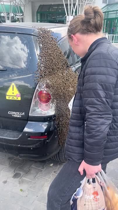 ��������������� ������ ��������� ����� � �������